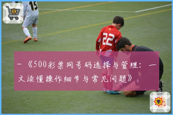 - 《500彩票网号码选择与管理：一文读懂操作细节与常见问题》