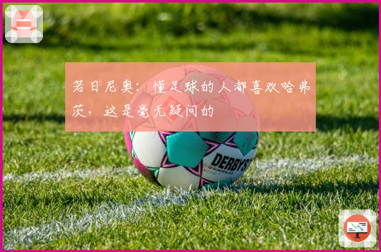 若日尼奥：懂足球的人都喜欢哈弗茨，这是毫无疑问的