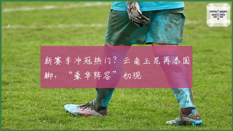 新赛季冲冠热门？云南玉昆再添国脚，“豪华阵容”初现