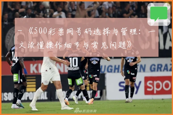 - 《500彩票网号码选择与管理：一文读懂操作细节与常见问题》