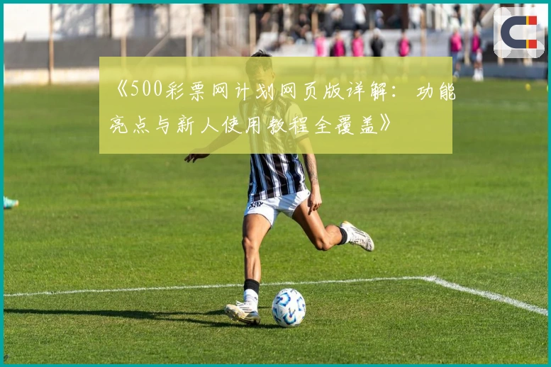 《500彩票网计划网页版详解：功能亮点与新人使用教程全覆盖》