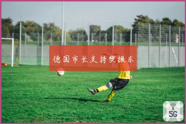 德国市长支持樊振东